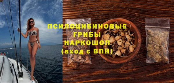 ГАЛЛЮЦИНОГЕННЫЕ ГРИБЫ Киренск