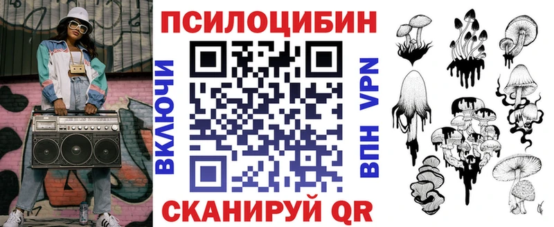 купить наркотики сайты  Южа  Галлюциногенные грибы Psilocybe 