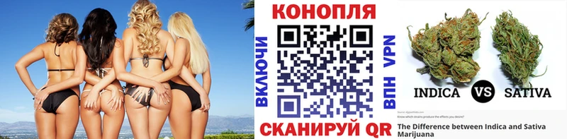 где купить наркоту  Южа  omg вход  Бошки марихуана семена 